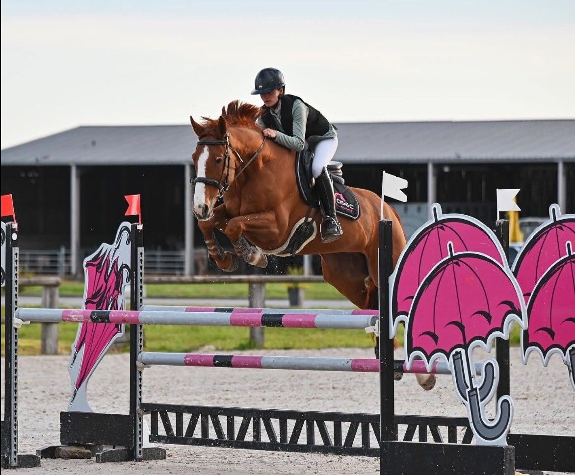 blockValue.679d1069-ccc1-4ae1-a94e-2bc3007c7a86.img_alt